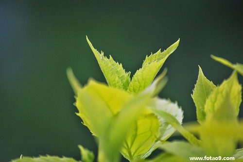 梦见怀中婴儿被坏人暴打,解梦梦见怀中婴儿被坏人暴打 梦见怀中婴儿被坏人暴打,解梦梦见怀中婴儿被坏人暴打