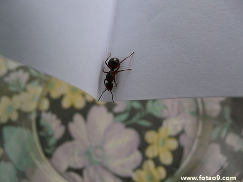 μ߿ѡ˺ܶ,μ߿ѡ˺ܶ