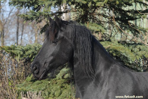梦见和乞丐打斗,解梦梦见和乞丐打斗 梦见和乞丐打斗,解梦梦见和乞丐打斗