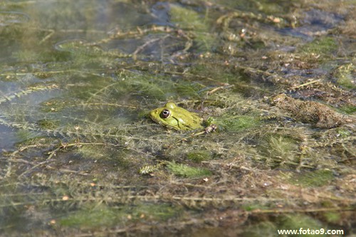 μԼǽڱھװ޴,μԼǽڱھװ޴