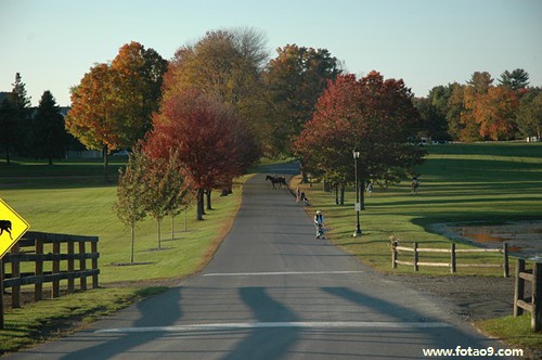 梦见白蛇钻进自己裤子里,解梦梦见白蛇钻进自己裤子里 梦见白蛇钻进自己裤子里,解梦梦见白蛇钻进自己裤子里
