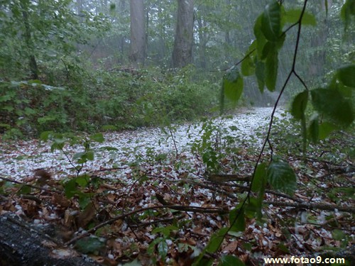 梦见送同事糖果,解梦梦见送同事糖果 梦见送同事糖果,解梦梦见送同事糖果