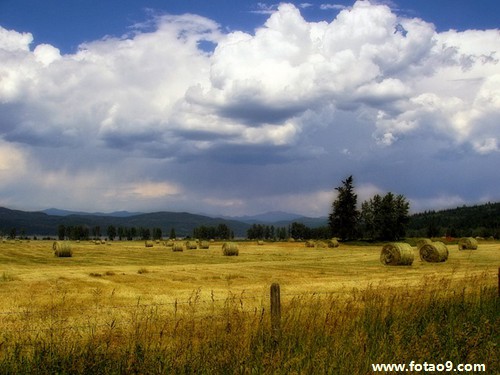 梦见孩子掉进水库淹死又活,解梦梦见孩子掉进水库淹死又活 梦见孩子掉进水库淹死又活,解梦梦见孩子掉进水库淹死又活