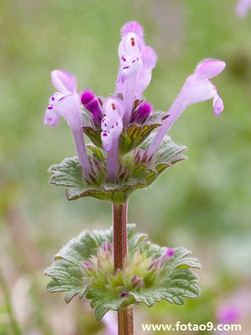梦见爸妈奶奶下雨收衣服,解梦梦见爸妈奶奶下雨收衣服 梦见爸妈奶奶下雨收衣服,解梦梦见爸妈奶奶下雨收衣服