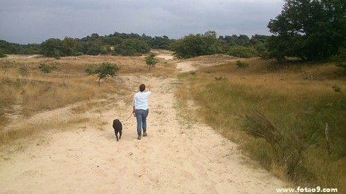 梦见打架把别人眼大出血,解梦梦见打架把别人眼大出血 梦见打架把别人眼大出血,解梦梦见打架把别人眼大出血