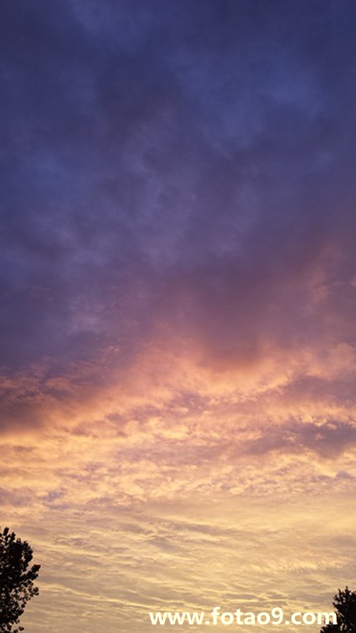 梦见猪遇见操我跑过来,解梦梦见猪遇见操我跑过来 梦见猪遇见操我跑过来,解梦梦见猪遇见操我跑过来