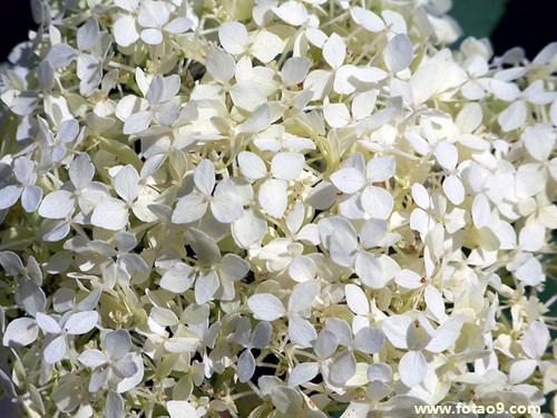 梦见从嗓子眼里拽出好多东西,解梦梦见从嗓子眼里拽出好多东西 梦见从嗓子眼里拽出好多东西,解梦梦见从嗓子眼里拽出好多东西