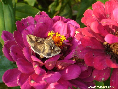 梦见拍写真迷路,解梦梦见拍写真迷路 梦见拍写真迷路,解梦梦见拍写真迷路