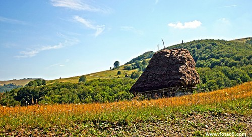 梦见爸爸抽血,解梦梦见爸爸抽血 梦见爸爸抽血,解梦梦见爸爸抽血