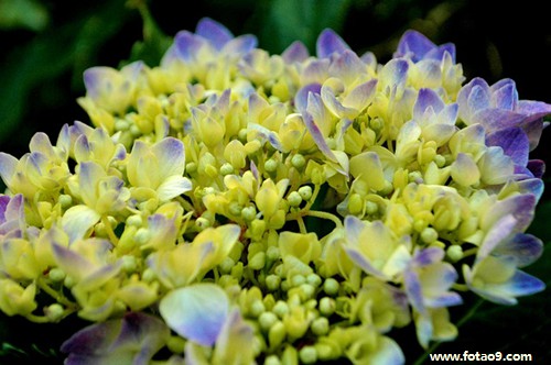梦见和姐夫吵架及打架,解梦梦见和姐夫吵架及打架 梦见和姐夫吵架及打架,解梦梦见和姐夫吵架及打架