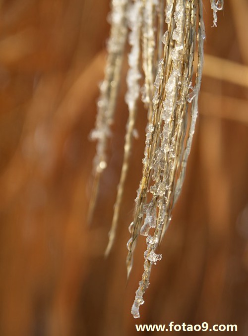 梦见同性乳房,解梦梦见同性乳房 梦见同性乳房,解梦梦见同性乳房