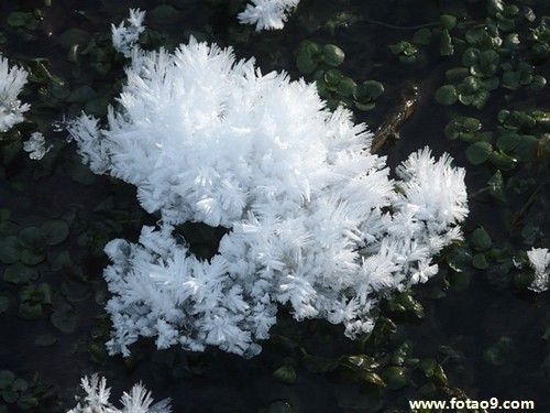 梦见死去的人说会话,解梦梦见死去的人说会话 梦见死去的人说会话,解梦梦见死去的人说会话