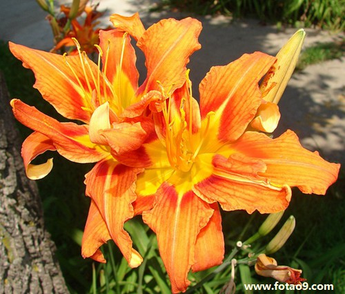 梦见给男友买鞋和衣服,解梦梦见给男友买鞋和衣服 梦见给男友买鞋和衣服,解梦梦见给男友买鞋和衣服