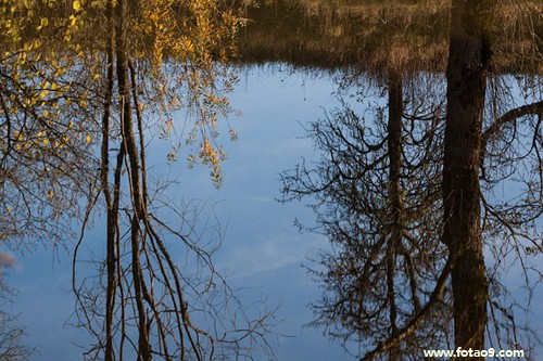 μС,μС