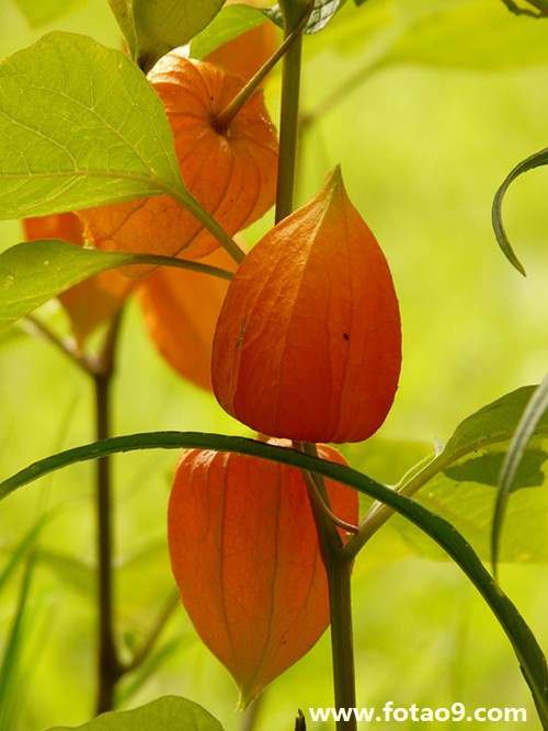 梦见抱一个小孩去就医,解梦梦见抱一个小孩去就医 梦见抱一个小孩去就医,解梦梦见抱一个小孩去就医