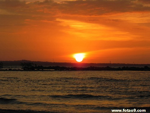 梦见玫瑰的刺扎手指,解梦梦见玫瑰的刺扎手指 梦见玫瑰的刺扎手指,解梦梦见玫瑰的刺扎手指