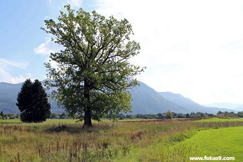 μȫ,μȫ