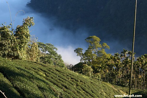 梦见扣掉大腿伤口结痂,解梦梦见扣掉大腿伤口结痂 梦见扣掉大腿伤口结痂,解梦梦见扣掉大腿伤口结痂