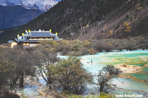 梦见被鸡抓伤了,解梦梦见被鸡抓伤了 梦见被鸡抓伤了,解梦梦见被鸡抓伤了