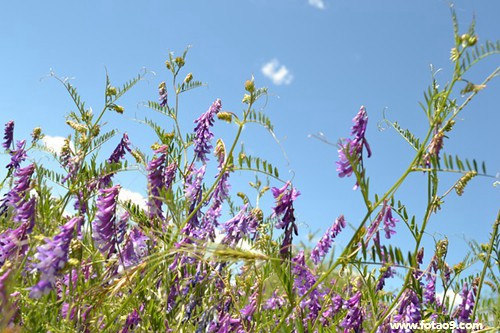 梦见龙王石雕,解梦梦见龙王石雕 梦见龙王石雕,解梦梦见龙王石雕