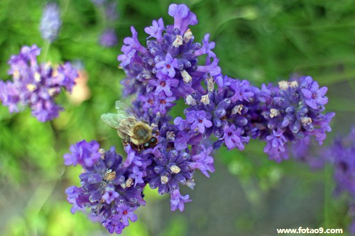 梦见和男性朋友躲避怪兽追捕,解梦梦见和男性朋友躲避怪兽追捕 梦见和男性朋友躲避怪兽追捕,解梦梦见和男性朋友躲避怪兽追捕