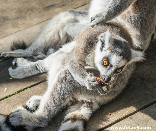 梦见村里人死的葬礼,解梦梦见村里人死的葬礼 梦见村里人死的葬礼,解梦梦见村里人死的葬礼