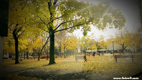 梦见火车翻倒,解梦梦见火车翻倒 梦见火车翻倒,解梦梦见火车翻倒