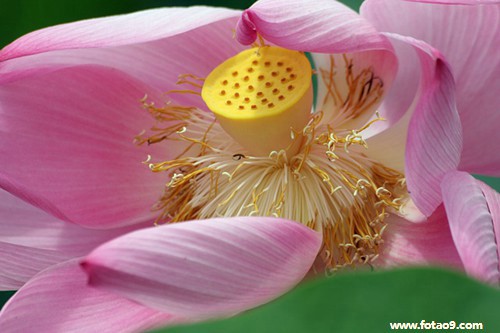 梦见父母在拿和别人小孩比,解梦梦见父母在拿和别人小孩比 梦见父母在拿和别人小孩比,解梦梦见父母在拿和别人小孩比