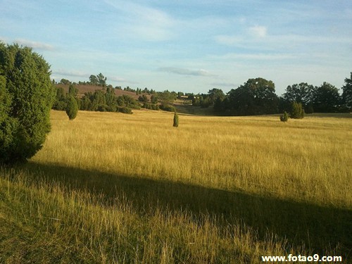 梦见炖两只鸡,解梦梦见炖两只鸡 梦见炖两只鸡,解梦梦见炖两只鸡