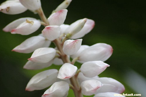 μǮ˽,μǮ˽
