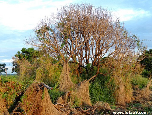 梦见没见给剪齐头帘,解梦梦见没见给剪齐头帘 梦见没见给剪齐头帘,解梦梦见没见给剪齐头帘