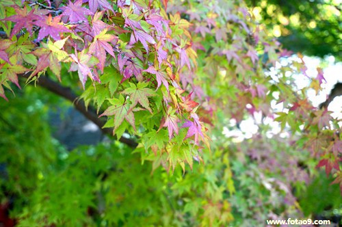 梦见父亲从车上掉下摔死了,解梦梦见父亲从车上掉下摔死了 梦见父亲从车上掉下摔死了,解梦梦见父亲从车上掉下摔死了