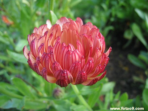 梦见做轮船翻船,解梦梦见做轮船翻船 梦见做轮船翻船,解梦梦见做轮船翻船