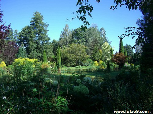 梦见异性同学救我,解梦梦见异性同学救我 梦见异性同学救我,解梦梦见异性同学救我