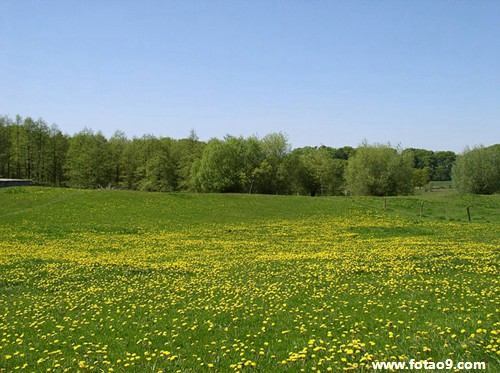 梦见和去世的母亲一起吃猪肉,解梦梦见和去世的母亲一起吃猪肉 梦见和去世的母亲一起吃猪肉,解梦梦见和去世的母亲一起吃猪肉