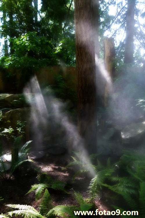 μҺϹһĹ,μҺϹһĹ