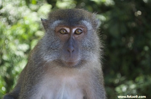 μҰȥүү,μҰȥүү