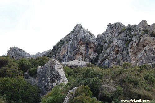 μ峺,μ峺