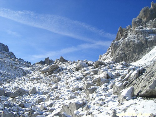 μס,μס