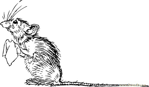 μԼǹȥҽԺ,μԼǹȥҽԺ