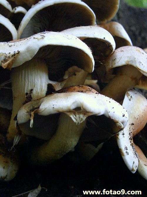 梦见看守所送犯人,解梦梦见看守所送犯人 梦见看守所送犯人,解梦梦见看守所送犯人