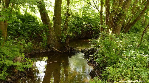 梦见爸爸把车撞坏,解梦梦见爸爸把车撞坏 梦见爸爸把车撞坏,解梦梦见爸爸把车撞坏