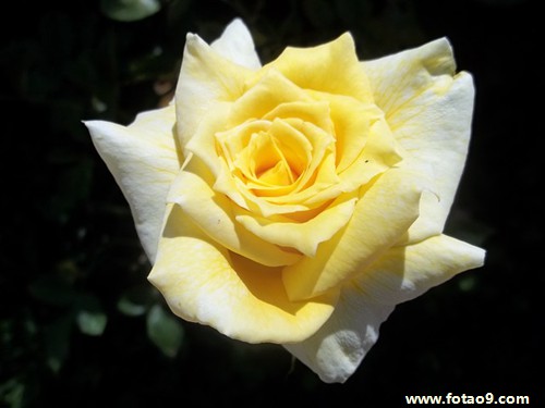 μһӺͺö,μһӺͺö