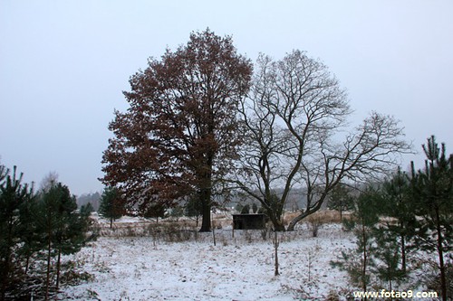 μŮҪǮ,μŮҪǮ