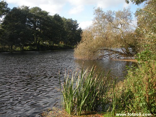 梦见打架被别人追赶,解梦梦见打架被别人追赶 梦见打架被别人追赶,解梦梦见打架被别人追赶