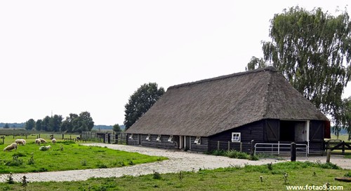 μԼһȺӲ,μԼһȺӲ