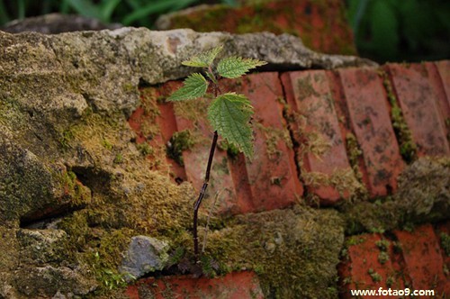 梦见女鬼向我索命,解梦梦见女鬼向我索命 梦见女鬼向我索命,解梦梦见女鬼向我索命