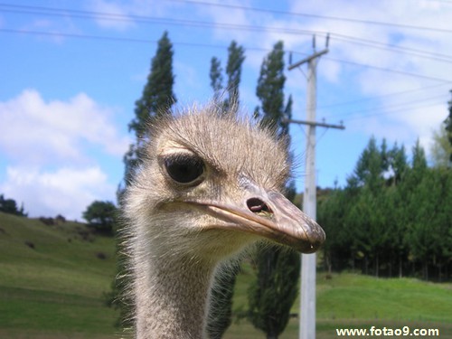 μҽҺúóԷ,μҽҺúóԷ