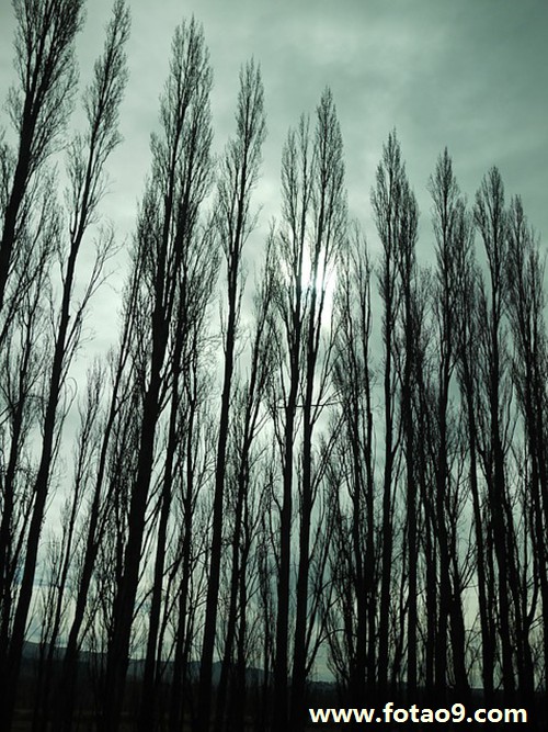 μҵĺѧӾ,μҵĺѧӾ