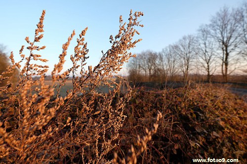 μͬѧܽӴ,μͬѧܽӴ